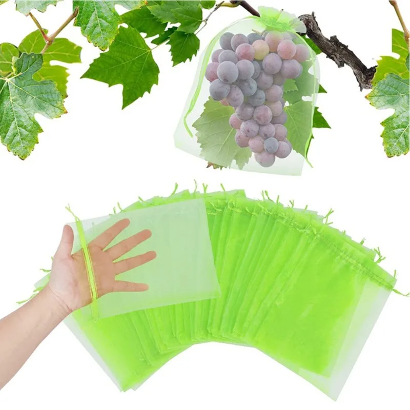 50pcs 20x30cm Fruit Protection - Mesh Net Bag reseña y precio